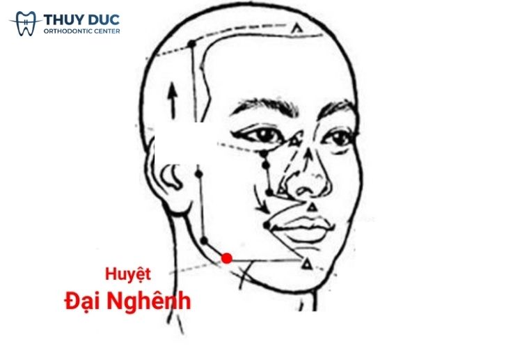 Bấm huyệt đại nghinh 1