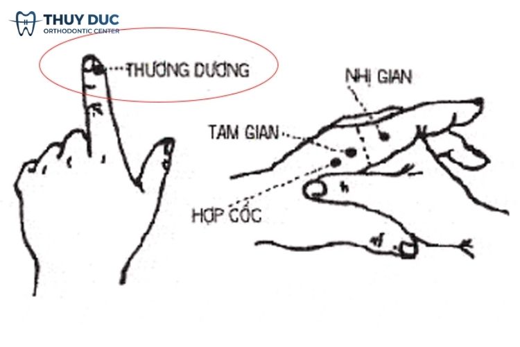 Bấm huyệt thương dương 1