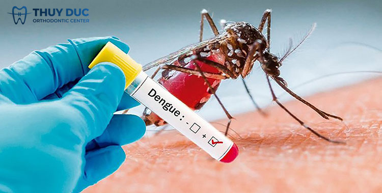 1/ Bệnh sốt xuất huyết Dengue là gì? 1
