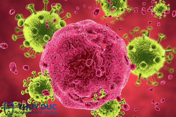 Giải thích chi tiết hơn cách thức hoạt động của virus HIV 1