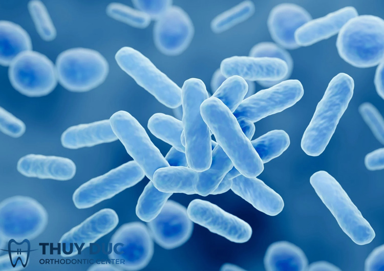 2. Lactobacillus 1