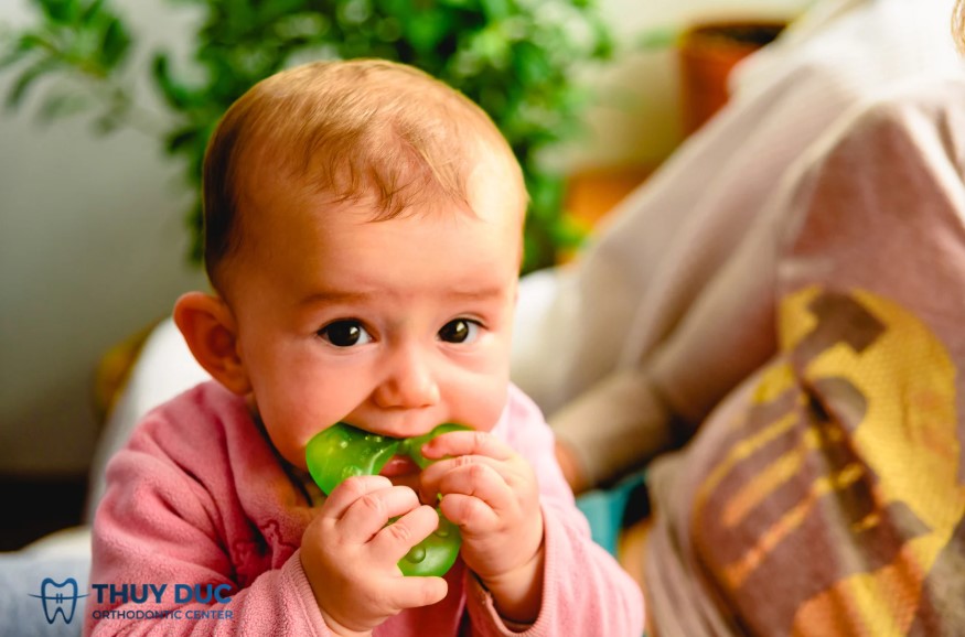 2.3 Kích thích phản xạ cắn, ngậm, phát triển kỹ năng miệng 1