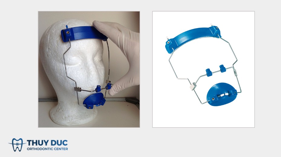 2.1 Facemask kiểu Delaire 1