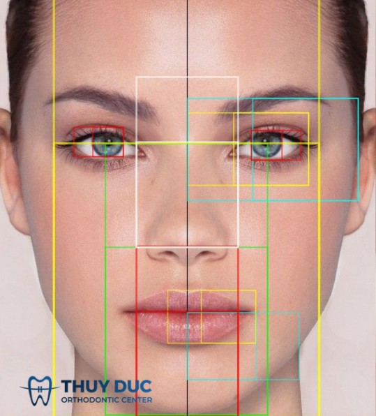 3. Các vùng giải phẫu quan trọng tạo nên khuôn mặt tỷ lệ vàng 1