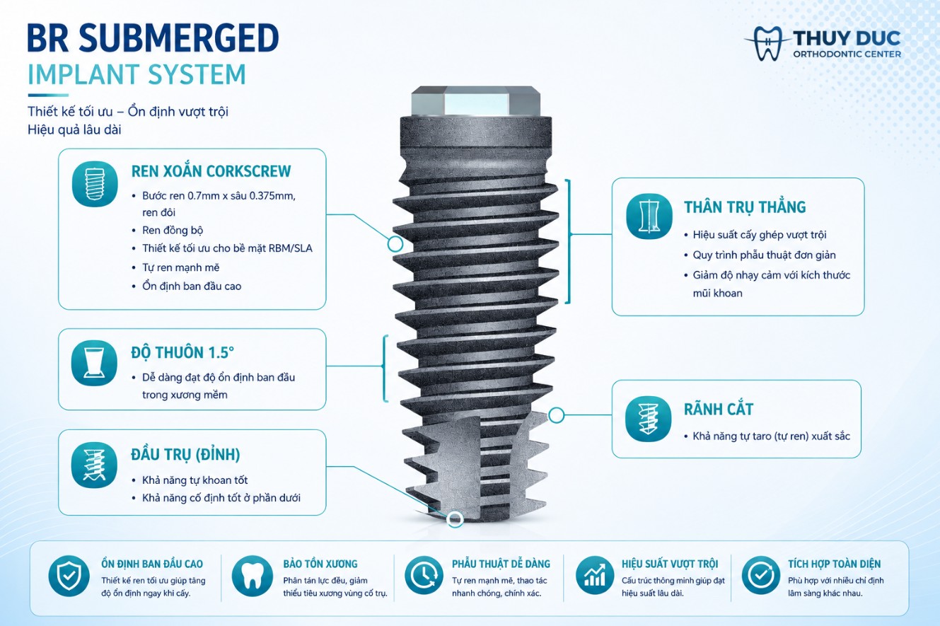 3.3. Implant Biotem BR 1