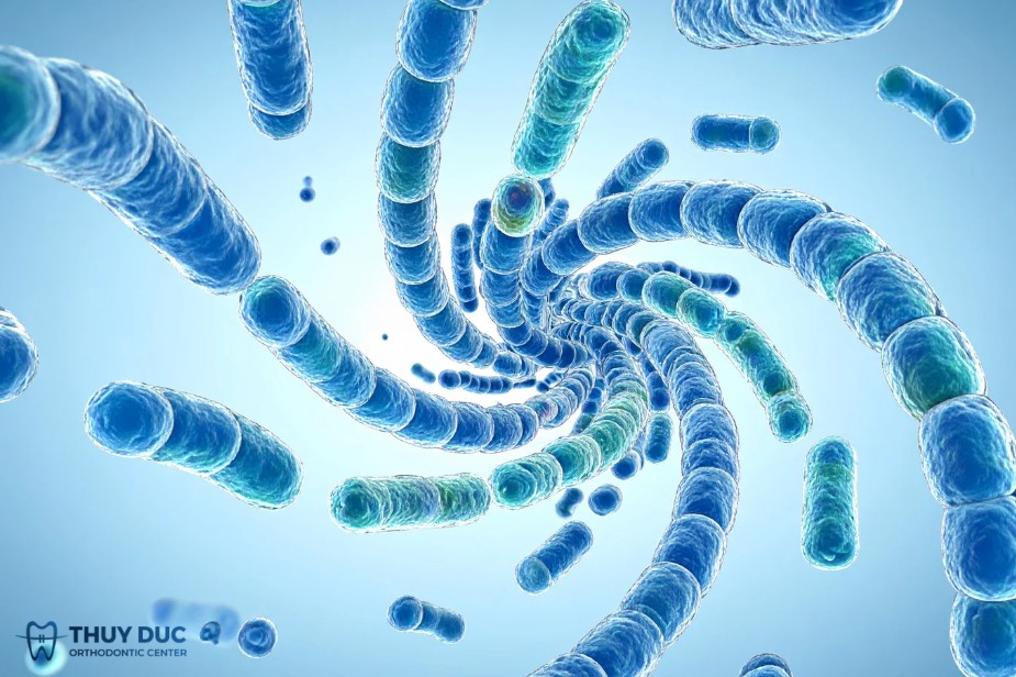 Streptococcus mutans, 