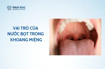 Vai trò của nước bọt trong khoang miệng